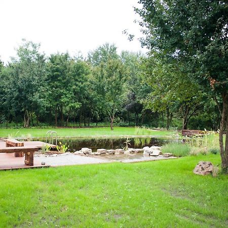 Pajta Apartman Es Vendeghaz Tata Ngoại thất bức ảnh